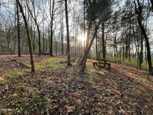 $12,000 | Tbd Hill Station Alley Road, Gate City, VA 24251