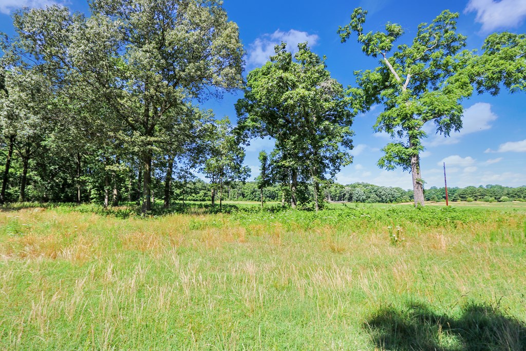 Lot 6 Fleming Road, Unit 6 Horntown, VA 23395 - Photo 4 of 26