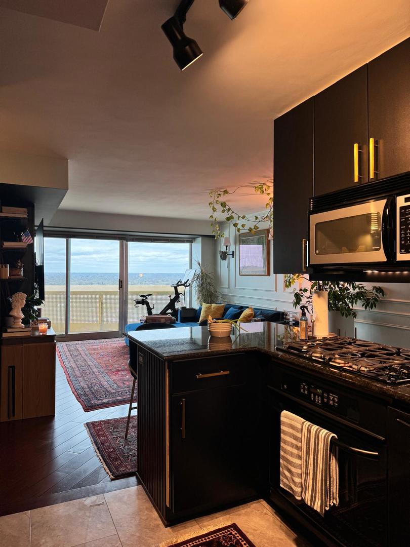 1720 Maple Avenue, Unit 2680 Evanston, IL 60201 - Photo 18 of 74