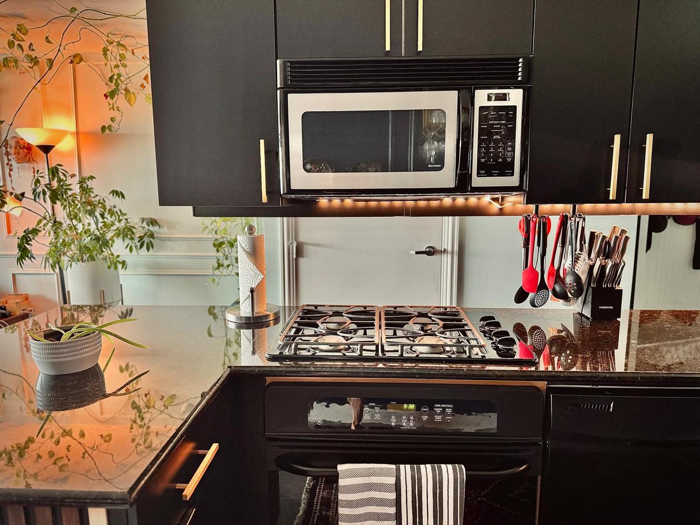 1720 Maple Avenue, Unit 2680 Evanston, IL 60201 - Photo 19 of 74 a kitchen with a stove and a microwave
