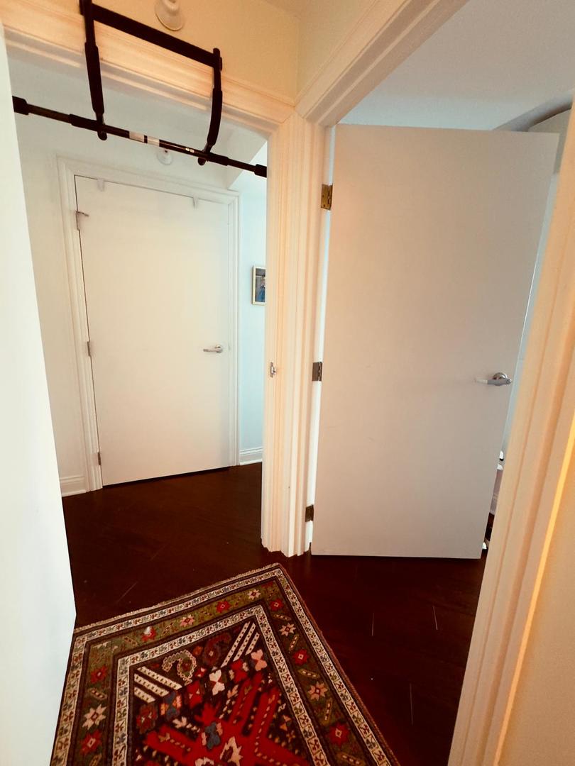 1720 Maple Avenue, Unit 2680 Evanston, IL 60201 - Photo 38 of 74 a view of walk in closet