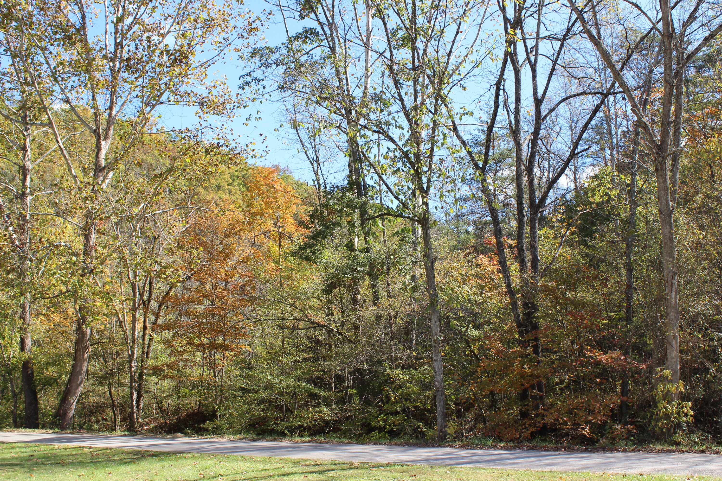 683 Adams Branch Road Frenchburg, KY 40322 - Photo 9 of 26 1