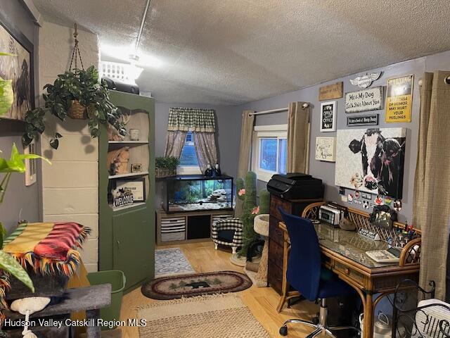 170 Broome Street Catskill, NY 12414 - Photo 13 of 18 a living room with furniture a rug and a window