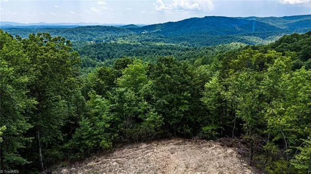 $69,900 | Tbd Tbd Carriage House Trail, McGrady, NC 28649