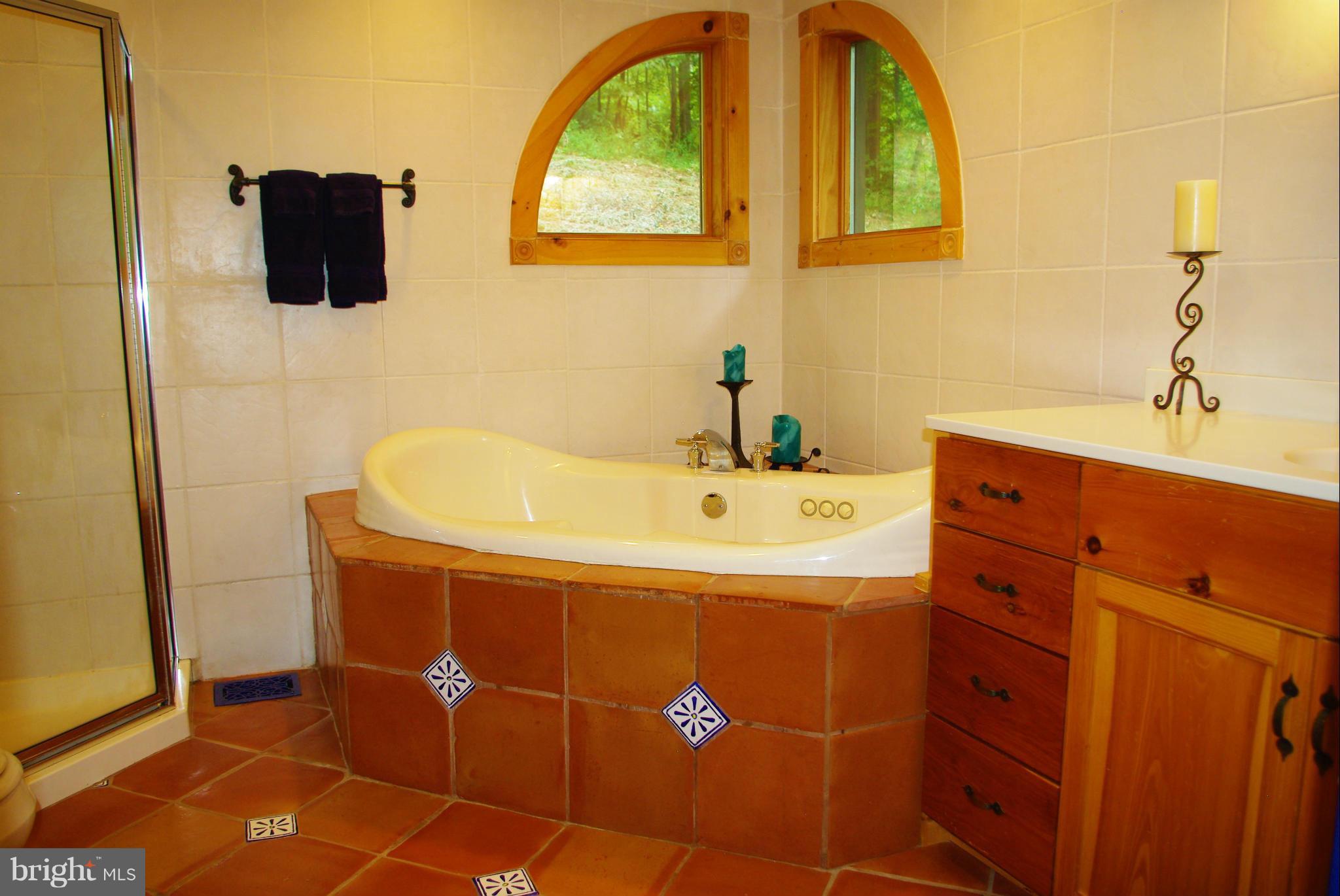 416 Rolling Road Sperryville, VA 22740 - Photo 13 of 25 Master bath with large jetted tub