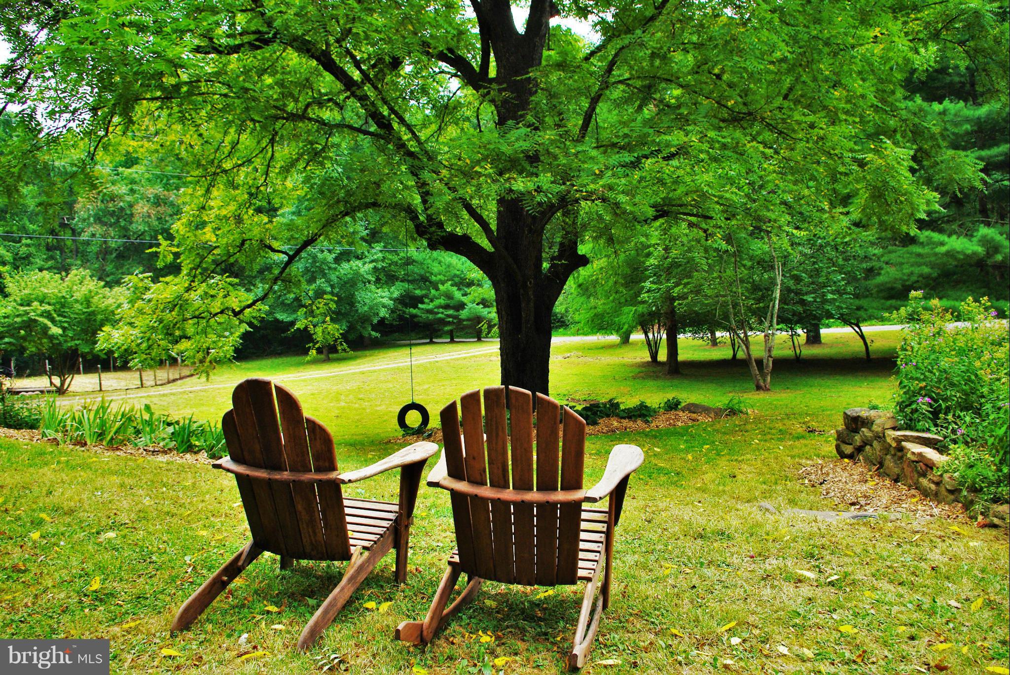 416 Rolling Road Sperryville, VA 22740 - Photo 21 of 25 Ample lawn space complete with tire swing