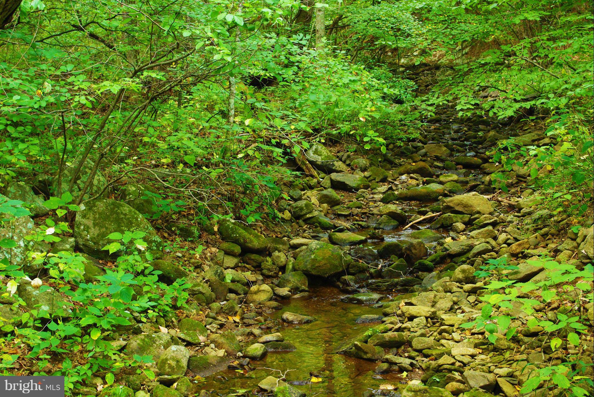 416 Rolling Road Sperryville, VA 22740 - Photo 23 of 25 Tributary to the Hazel River