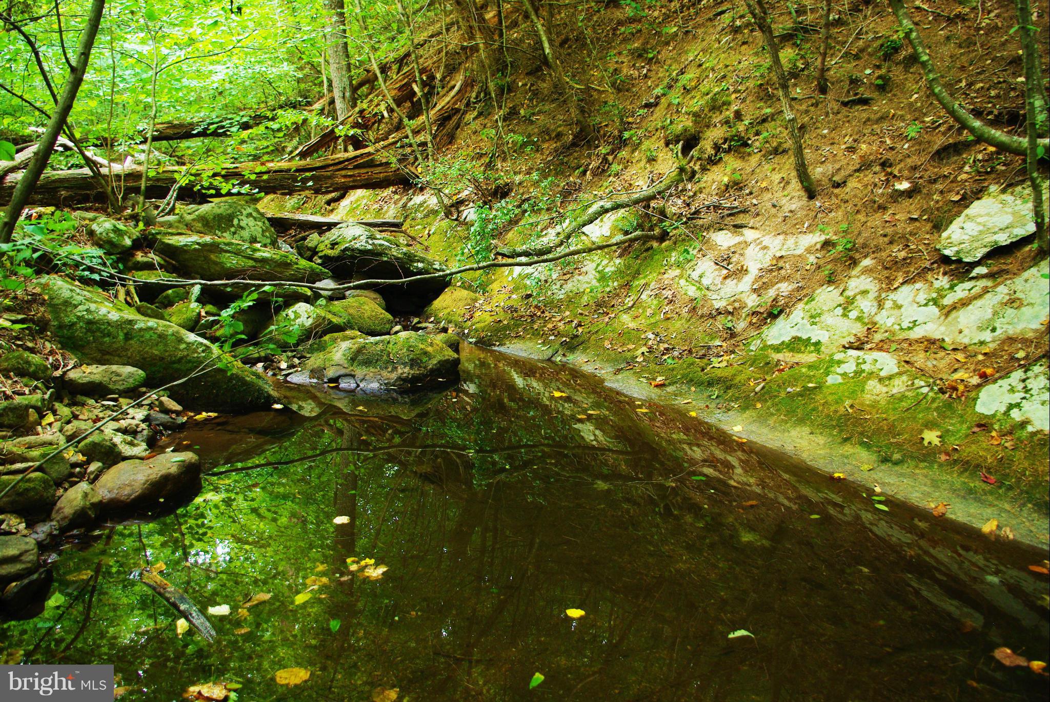 416 Rolling Road Sperryville, VA 22740 - Photo 24 of 25 A pool in the creek perfect for a dunk