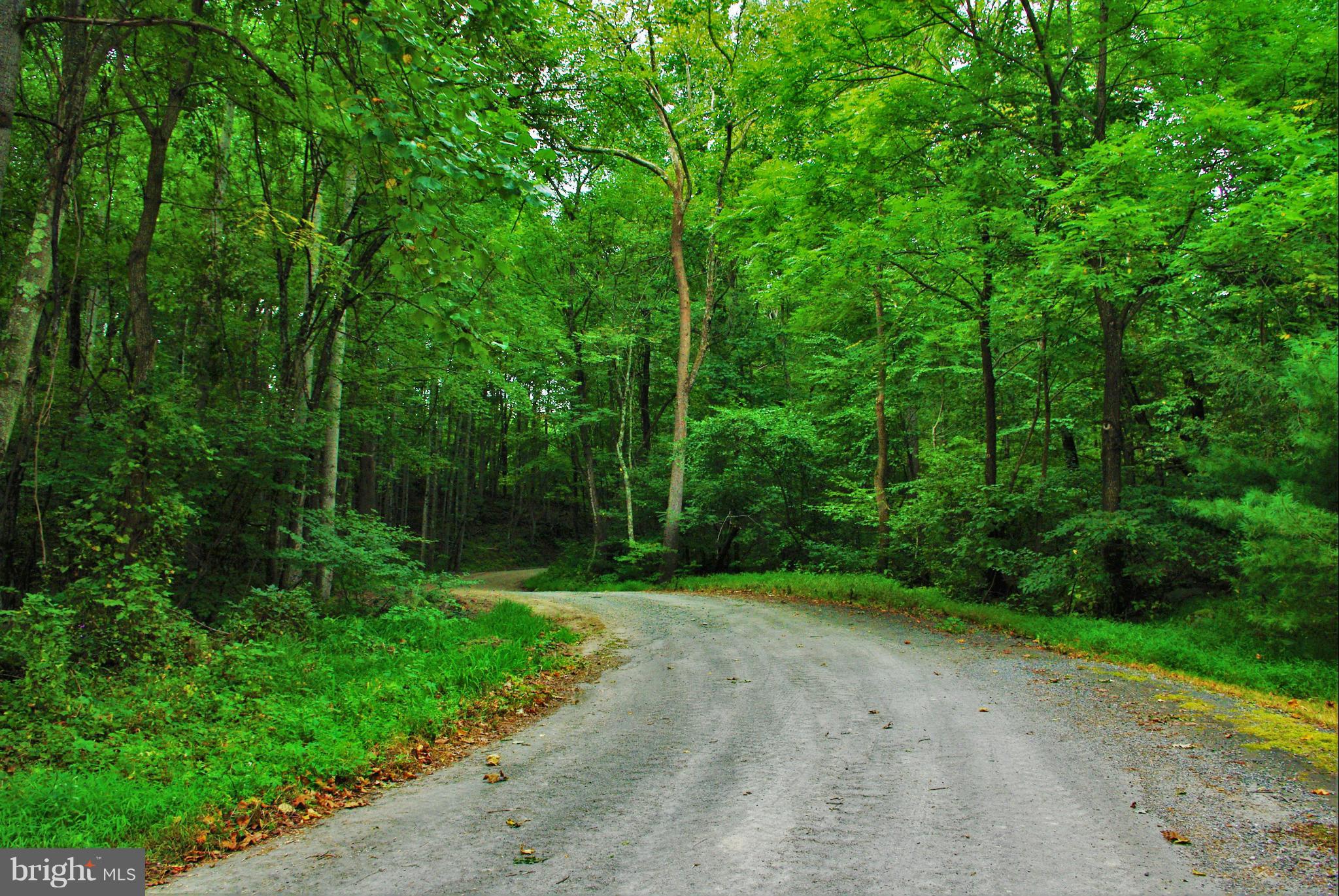 416 Rolling Road Sperryville, VA 22740 - Photo 25 of 25 Quiet Rolling Road
