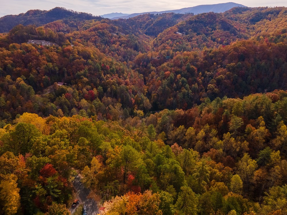 11 Sunset Road Sevierville, TN 37862 - Photo 4 of 15