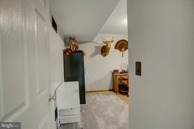 a picture of ceiling fan