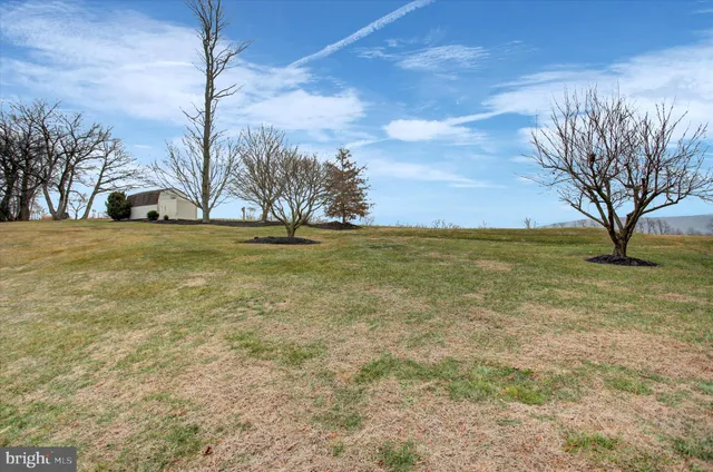 a view of yard with outdoor space
