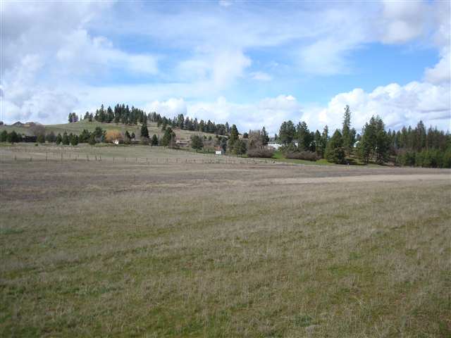 21150 North Perry Road Colbert, WA 99005 - Photo 1 of 8