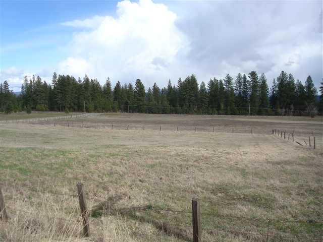 21150 North Perry Road Colbert, WA 99005 - Photo 4 of 8