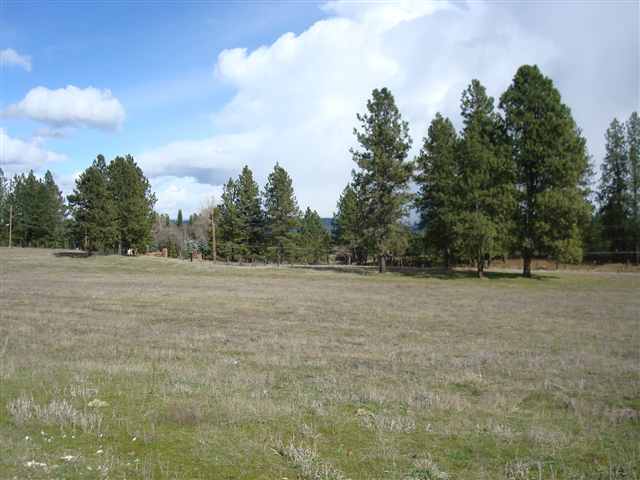 21150 North Perry Road Colbert, WA 99005 - Photo 5 of 8