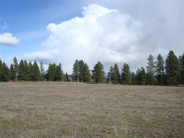21150 North Perry Road Colbert, WA 99005 - Photo 6 of 8