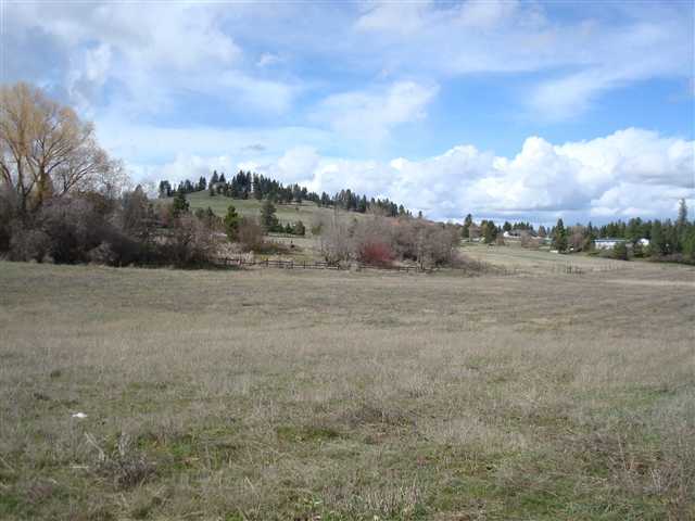 21150 North Perry Road Colbert, WA 99005 - Photo 7 of 8