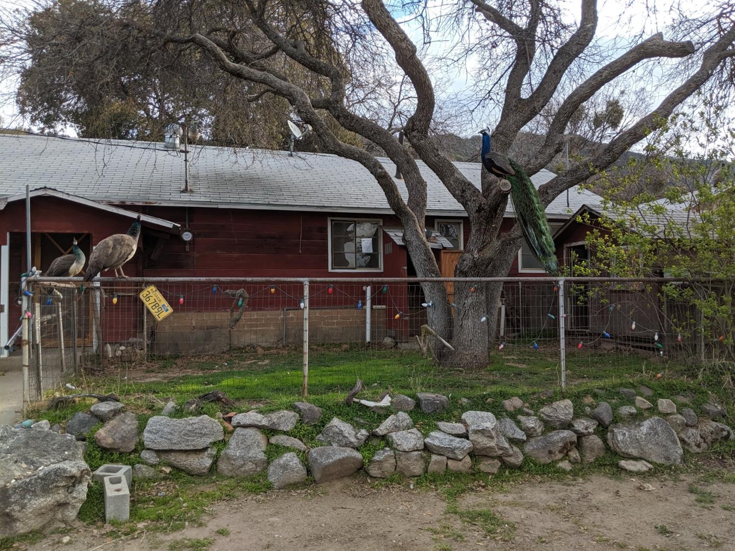 39462 East Kings Canyon Road Dunlap, CA 93621 - Photo 1 of 14 Gallery Image 1