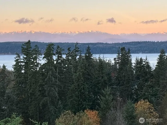 a view of a city with mountains in the background