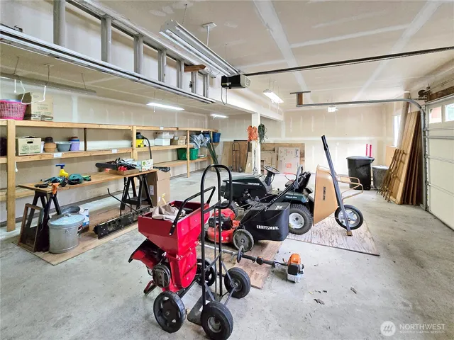 a garden with plants and large trees