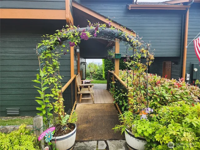 a view of a plant in a garden