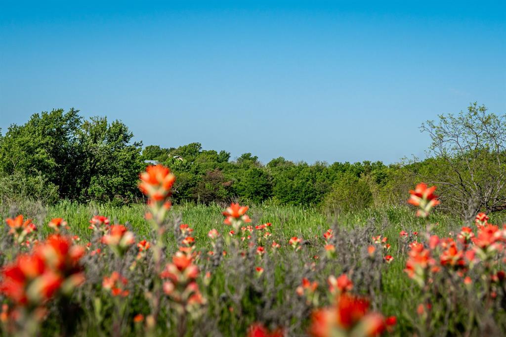 1451 Hemming Road Valley View, TX 76272 - Photo 4 of 12 a view of a flower