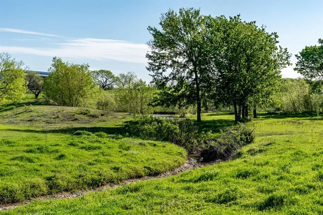 a view of a garden with trees
