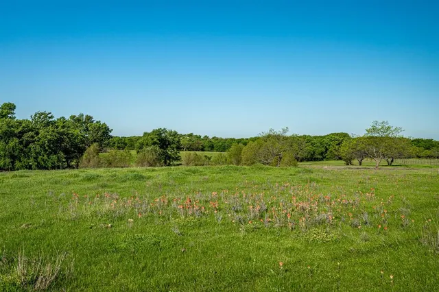 a view of grassy field with trees