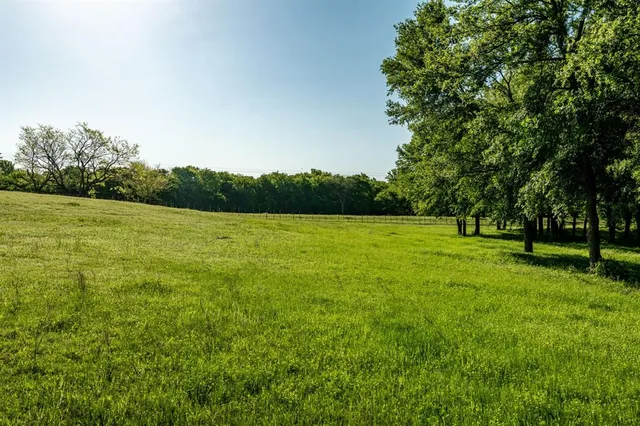 a view of grassy field with trees