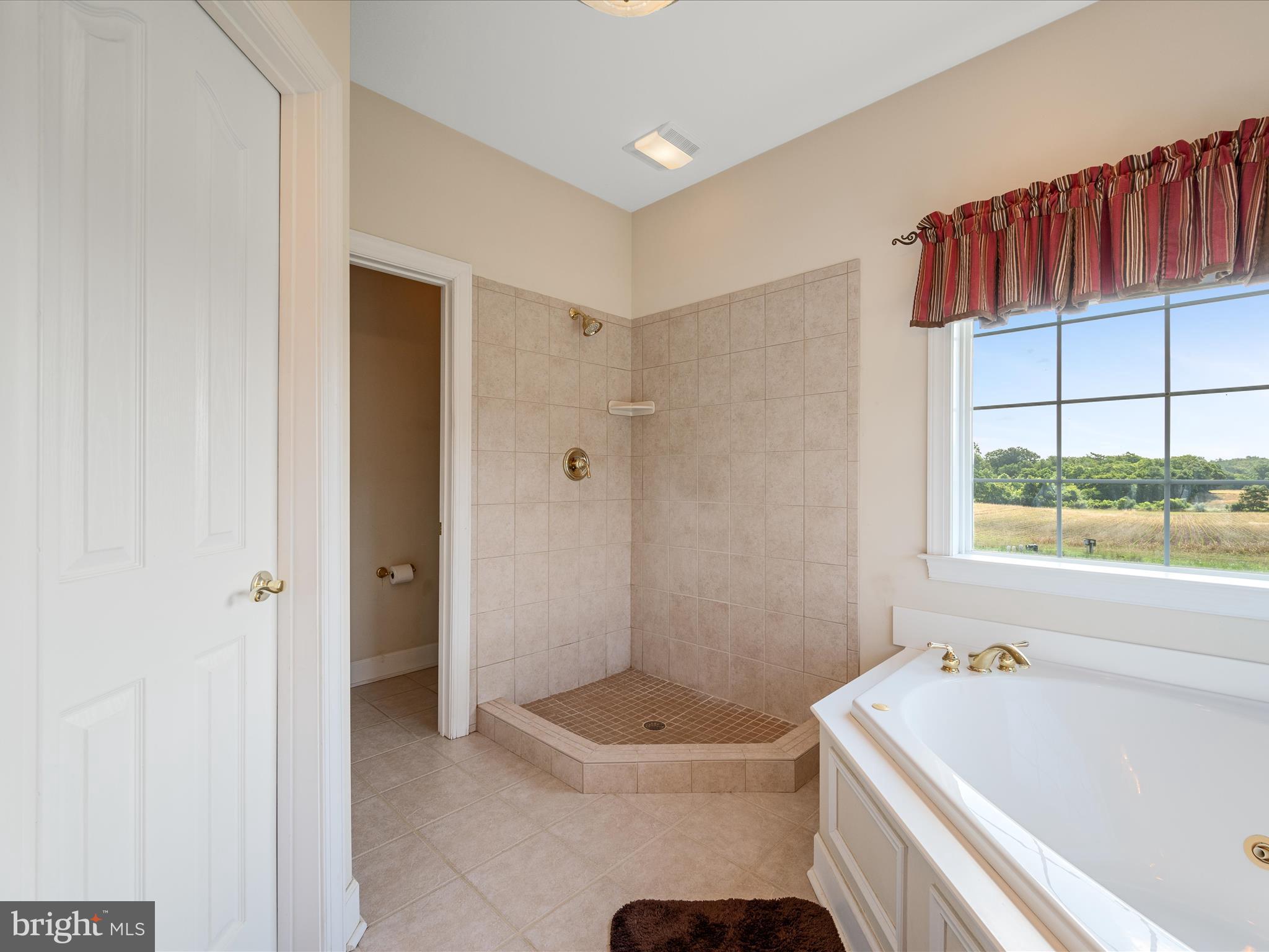 78 Old Grade Road Strasburg, VA 22657 - Photo 38 of 70 Primary Bathroom