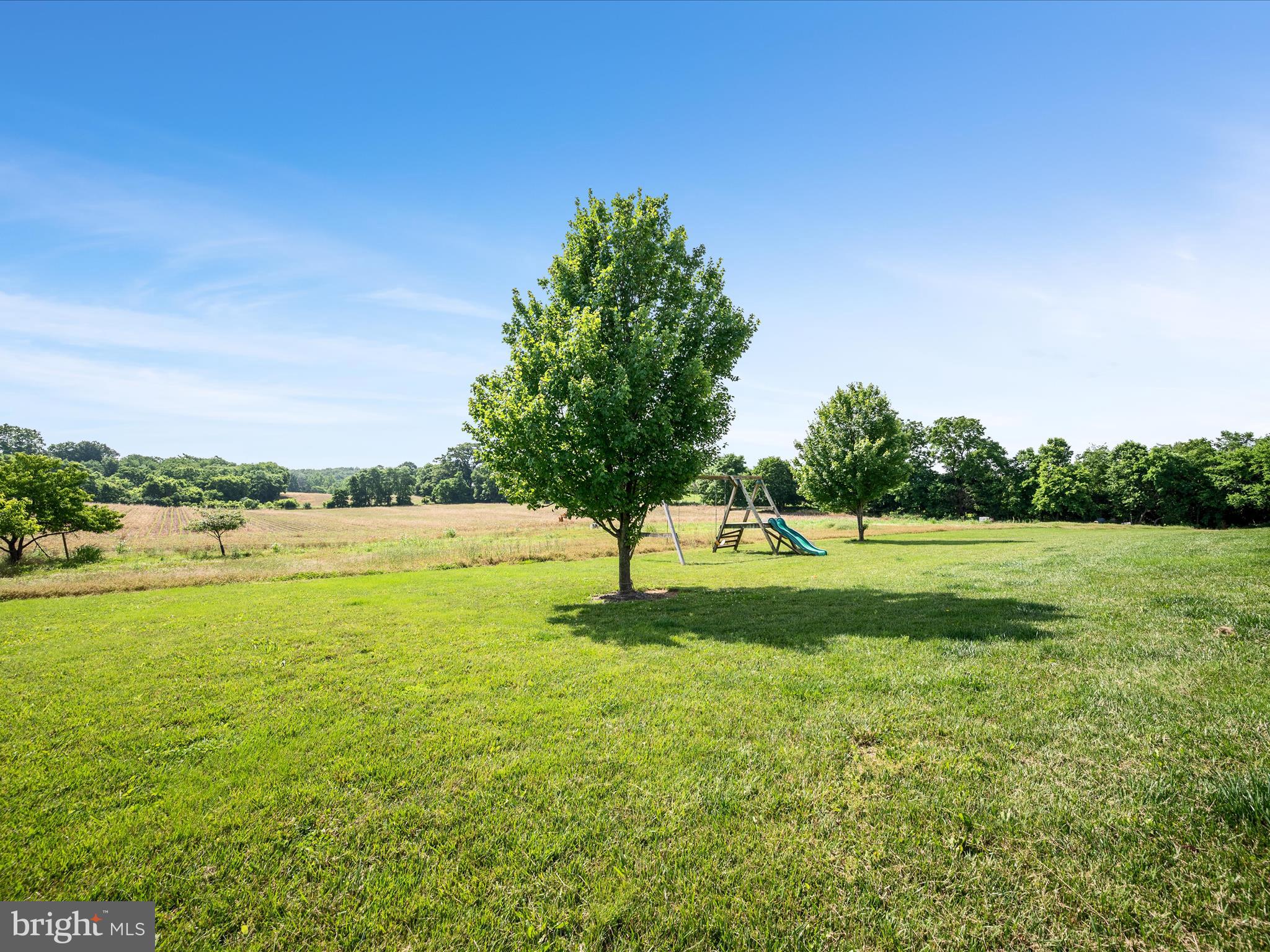 78 Old Grade Road Strasburg, VA 22657 - Photo 61 of 70 Backyard