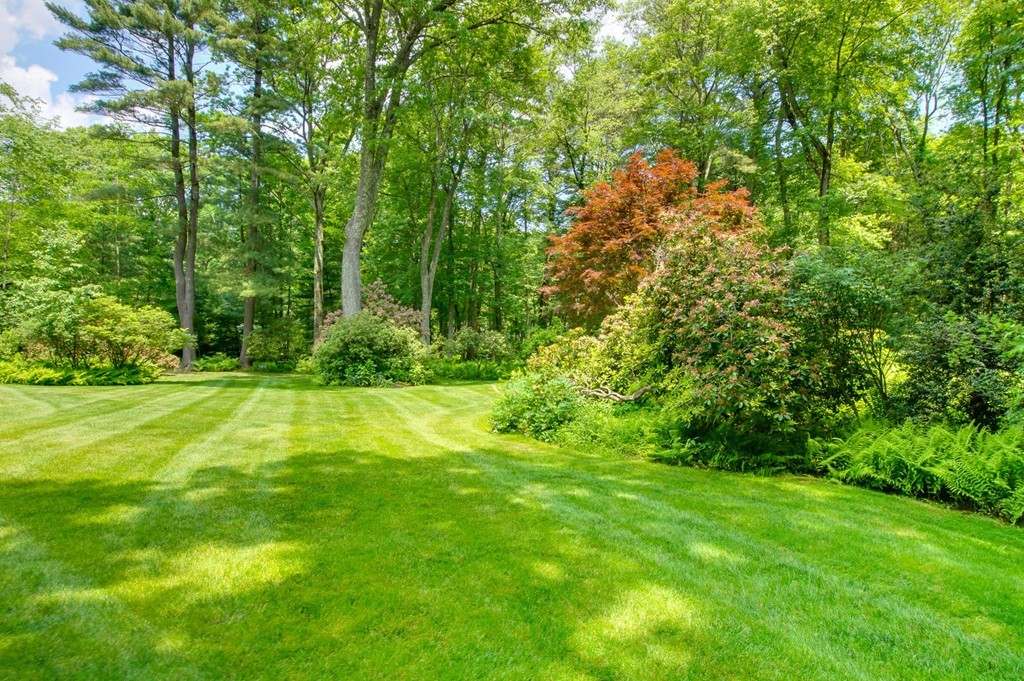 179 Winding River Road Wellesley, MA 02482 - Photo 17 of 19 Gallery Image 17