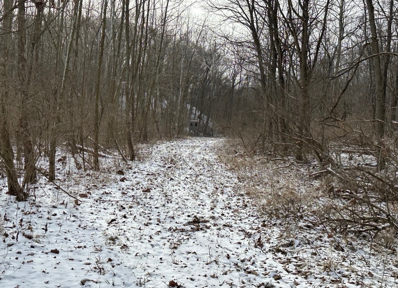 0 County Rd 230 N Road Ridge Farm, IL 61870 - Photo 26 of 28 Gallery Image 26