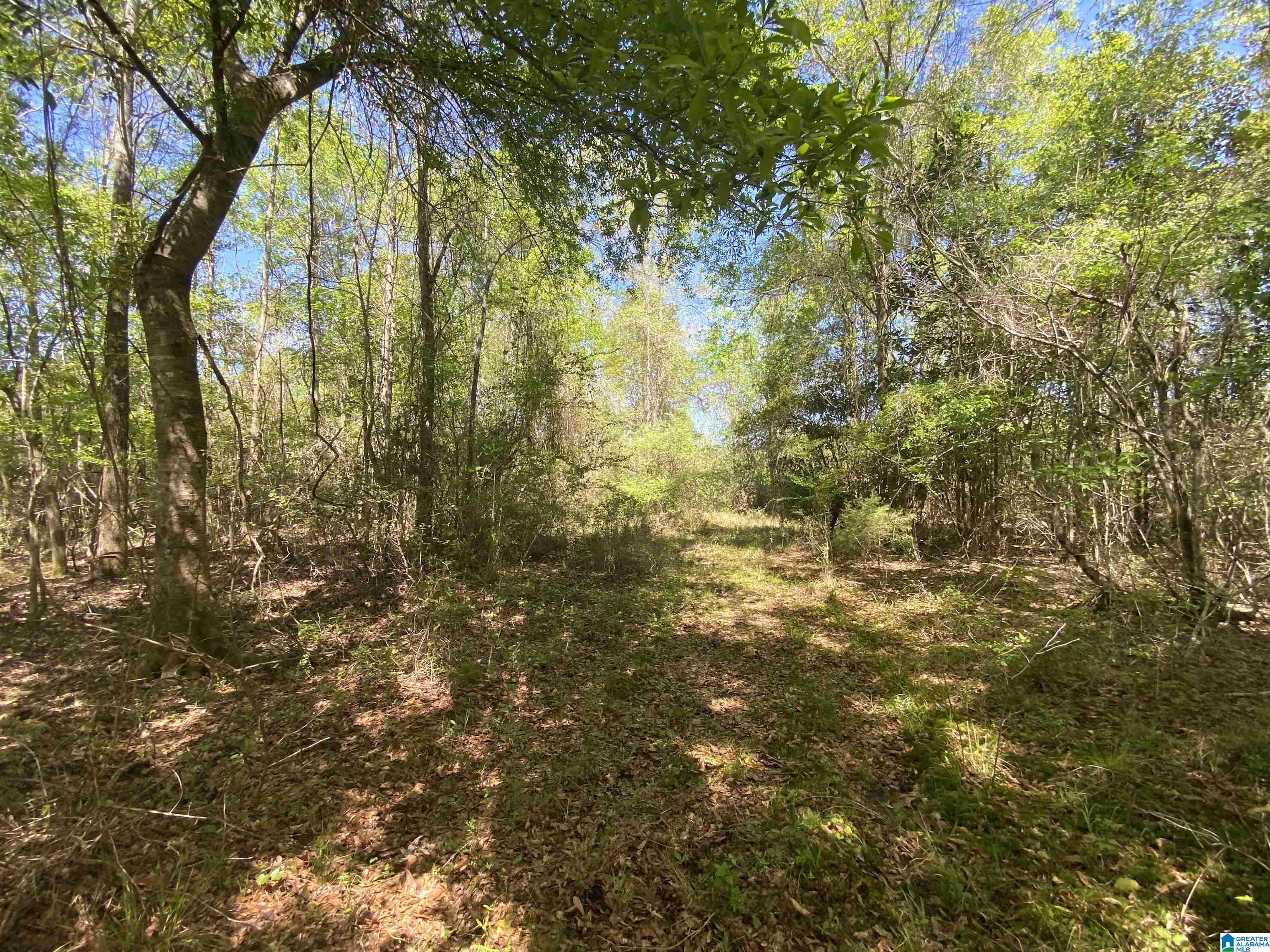 0 Richardson Road Brewton, AL 36426 - Photo 22 of 47