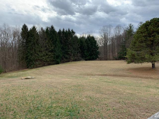 179 Dixon Run Cemetery Road Thurman, OH 45685 - Photo 19 of 37
