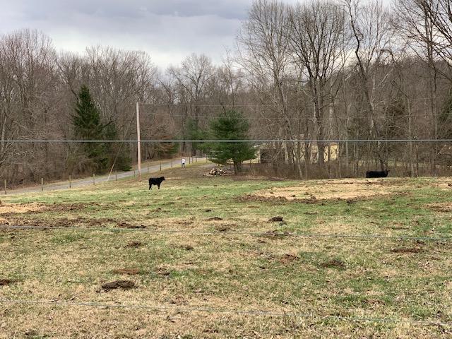 179 Dixon Run Cemetery Road Thurman, OH 45685 - Photo 24 of 37