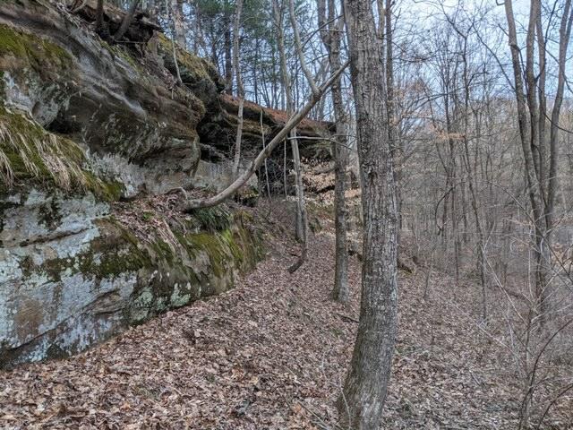 179 Dixon Run Cemetery Road Thurman, OH 45685 - Photo 36 of 37