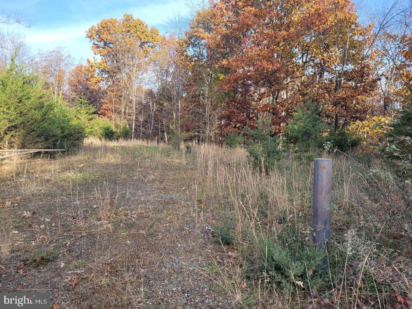 Lot 26 Park Road Bloomery, WV 26817 - Photo 3 of 8