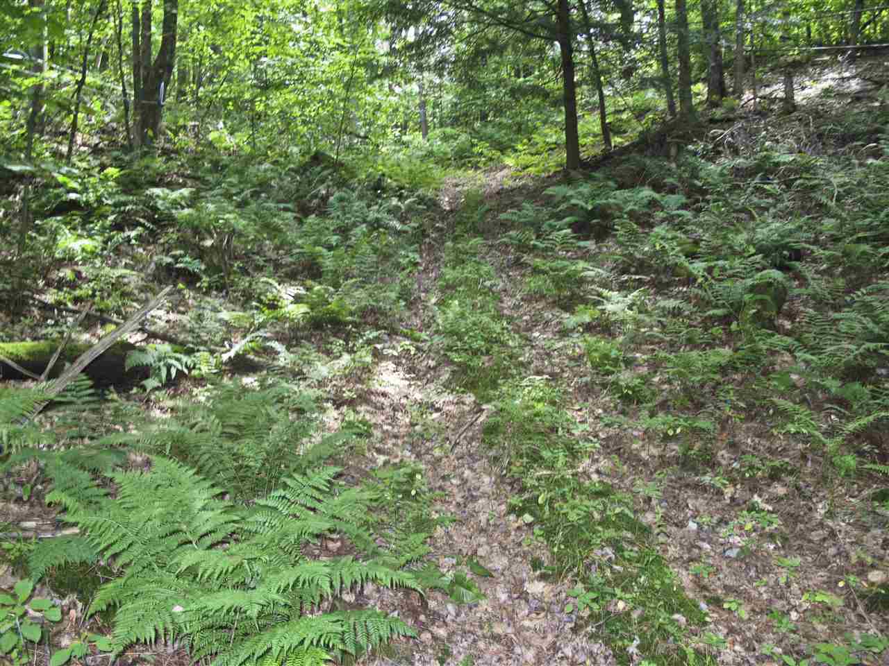 3860 North 116 Road Bristol, VT 05443 - Photo 5 of 15
