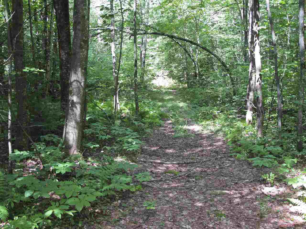 3860 North 116 Road Bristol, VT 05443 - Photo 8 of 15