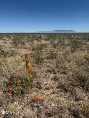 $55,000 | 50-acres 50-acres Claude Road, Dell City, TX 79847