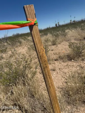 $55,000 | 50-acres 50-acres Claude Road, Dell City, TX 79847