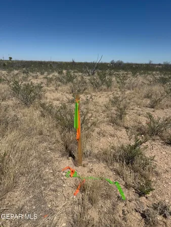 $55,000 | 50-acres 50-acres Claude Road, Dell City, TX 79847