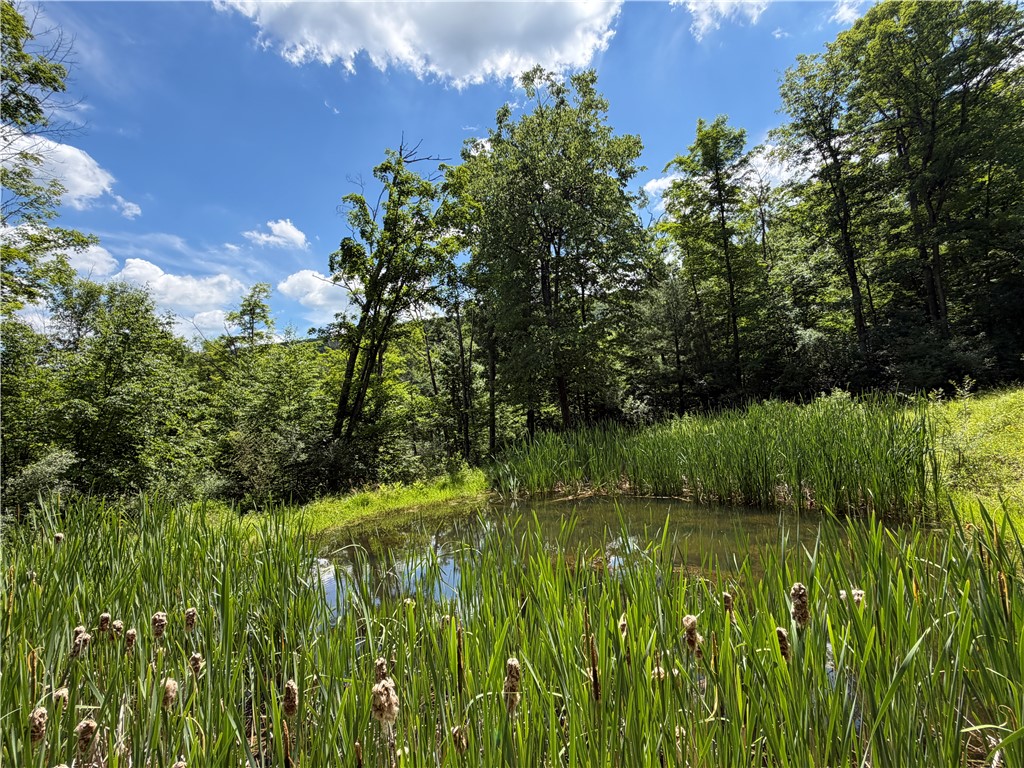 Vl Catatunk Road, Unit R Canisteo, NY 14823 - Photo 24 of 50