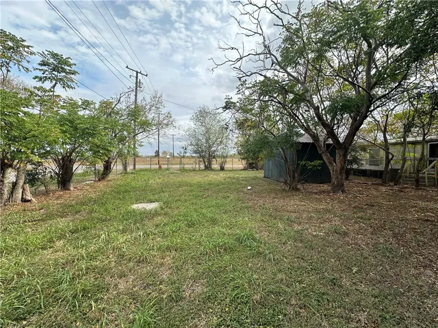 a view of a tree in a yard