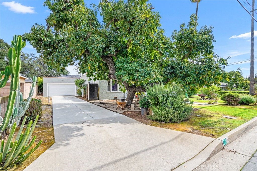 330 El Nido Avenue Pasadena, CA 91107 - Photo 35 of 41 a view of a house with a yard and plants