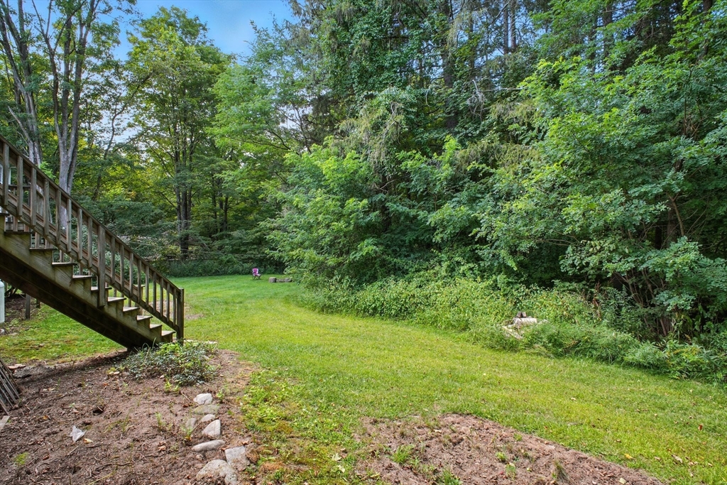 167 Warren Wright Road Belchertown, MA 01007 - Photo 41 of 42 a view of a yard with plants and a large tree