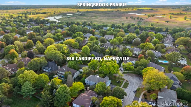 a view of a bunch of flowers and trees