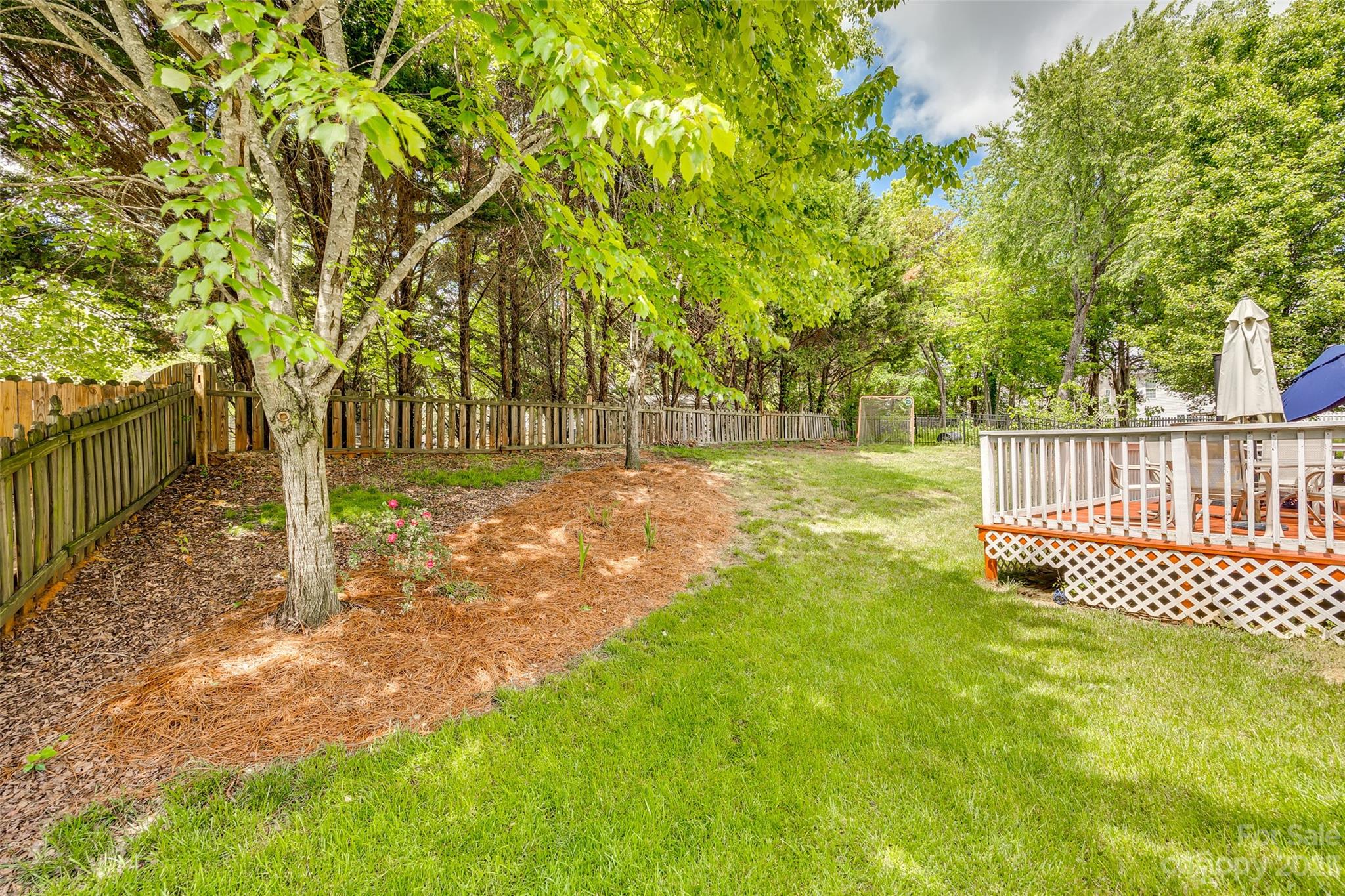 5540 Alexandrite Way Fort Mill, SC 29708 - Photo 37 of 46 a view of a yard with wooden fence and trees