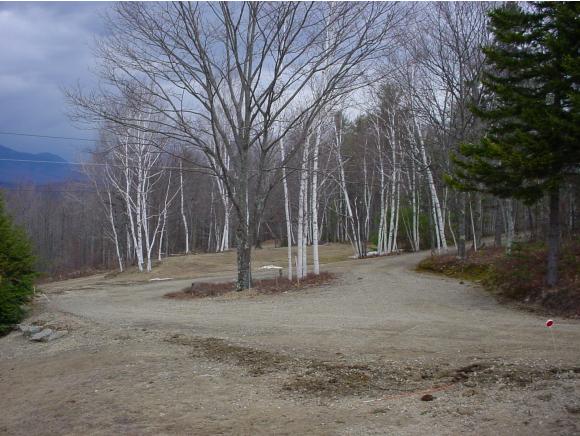 75 Foster Gate Road Sandwich, NH 03227 - Photo 8 of 35